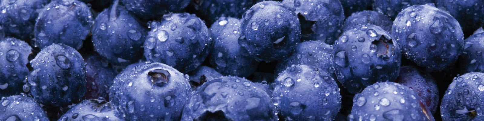Blueberry Farms City Of Bellevue