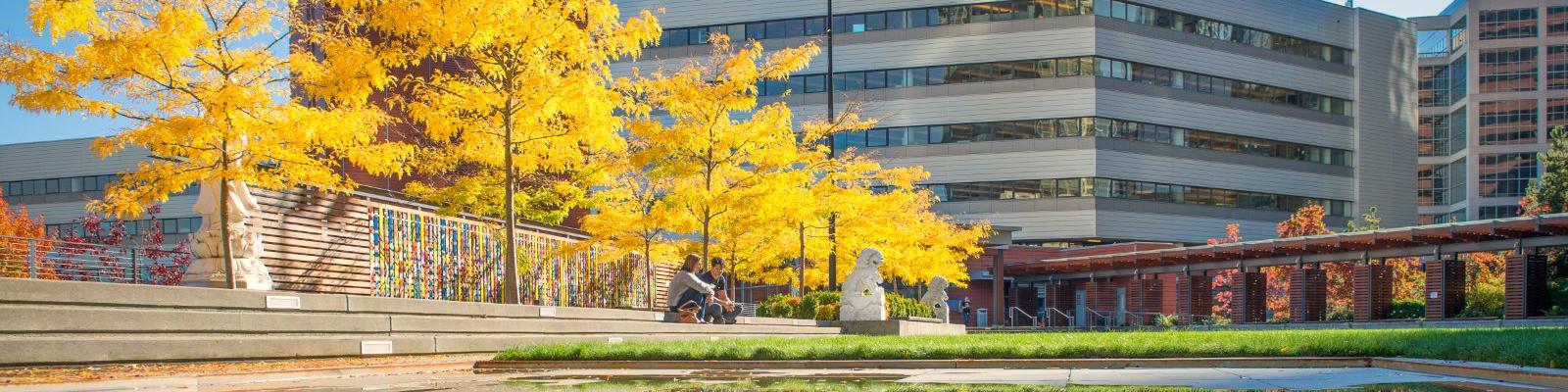 city-hall-fall-banner.jpg city-hall-fall-banner.jpg