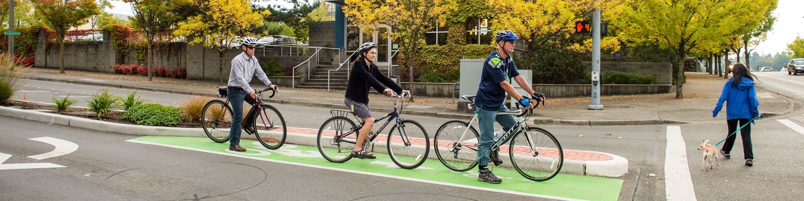 Image of bicyclists stopped in a green bike box in an intersection while a pedestrian and dog cross the street.