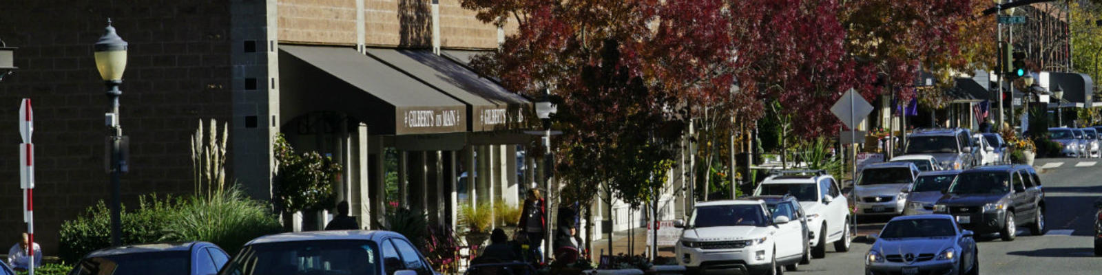 small business main street cropped.jpg small business main street cropped.jpg