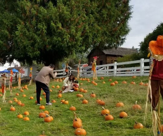 Family in pumpkin patch at Kelsey Creek Farm