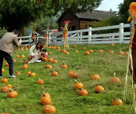 A family poses for a picture in the fair pumpkin patch.