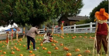Family in pumpkin patch at Kelsey Creek Farm