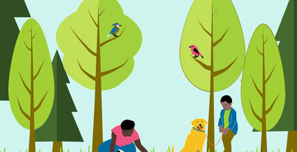 Illustration of woman, boy and dog among a variety of trees.