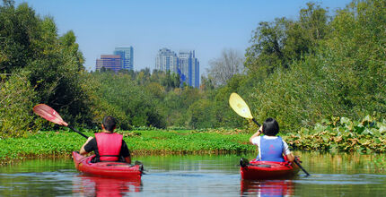 Two people kayak the Mercer Slough toward downtown Bellevue.