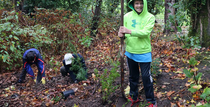 A boy with a shovel stands by a small tree he planted as others plant trees in the background.