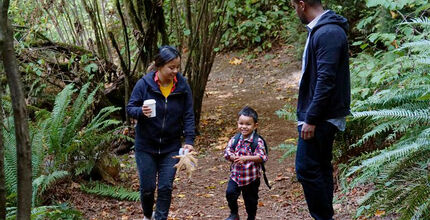 A man, woman and child walk along a forest trail.