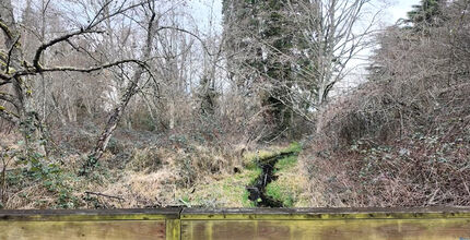 Kelsey Creek is a line of water running through forest by Lake Hills Boulevard.
