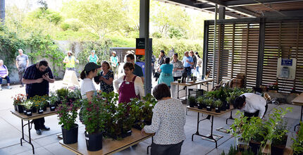 People look at tables with plants on them at the Bellevue Botanical Garden.