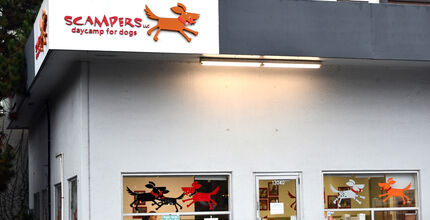 The sign for Scampers dog-sitting service is prominent on the building.