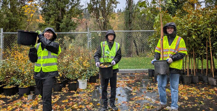 Three boys walk with saplings they received from Bellevue's tree giveaway.