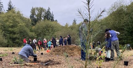 People planting trees in park.