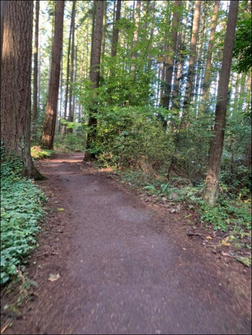Photo of Robinswood Park trail