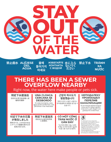 Stay Out of the Water