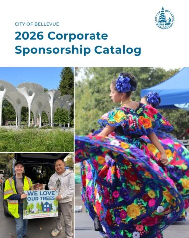 2026 Corporate Sponsorship Program Screenshot
