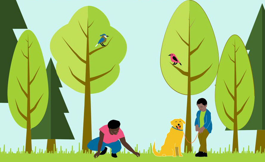 Illustration of woman, boy and dog among a variety of trees.