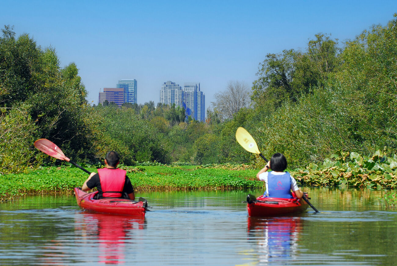 Two people kayak the Mercer Slough toward downtown Bellevue.