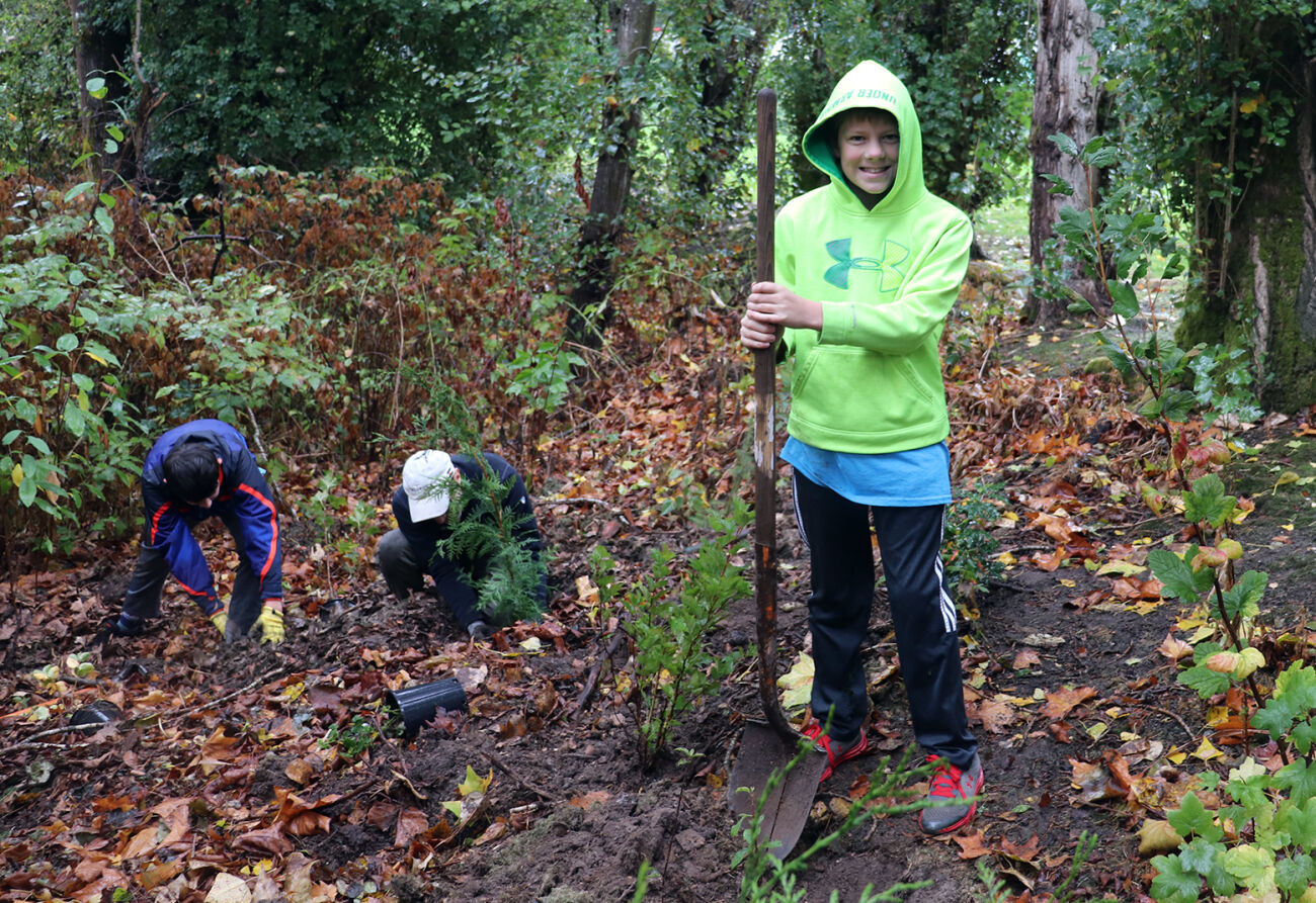 A boy with a shovel stands by a small tree he planted as others plant trees in the background.