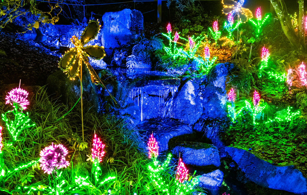 Garden d'Lights features at the Bellevue Botanical Garden