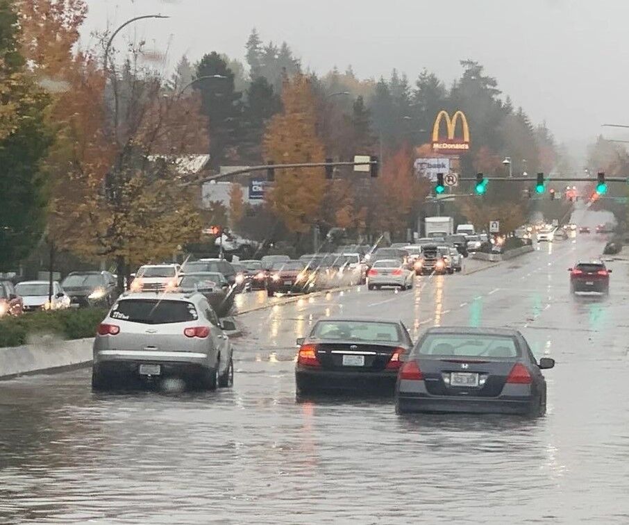 Vehicles traveling in high water on a flooded street. Additional vehicles and trees in the background.