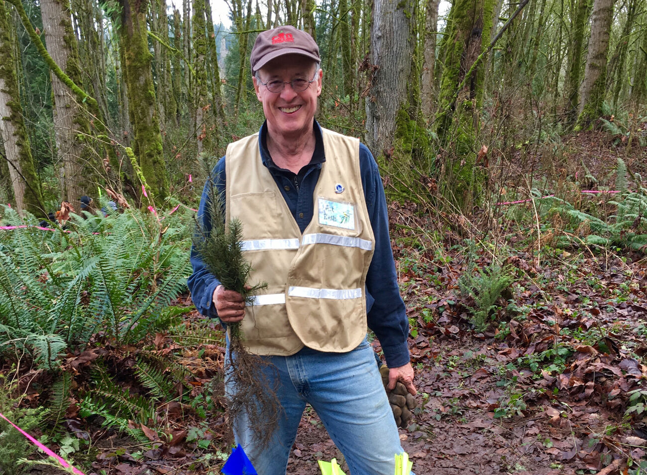 One of Bellevue's naturalists plants trees and shrubs in the forest at Eastgate Park.