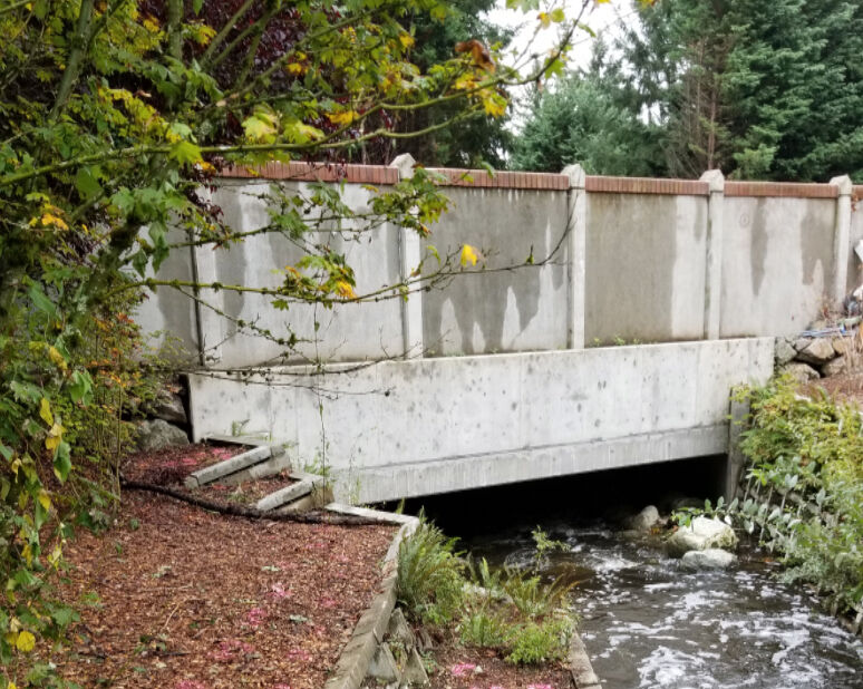 The Kelsey Creek Culvert