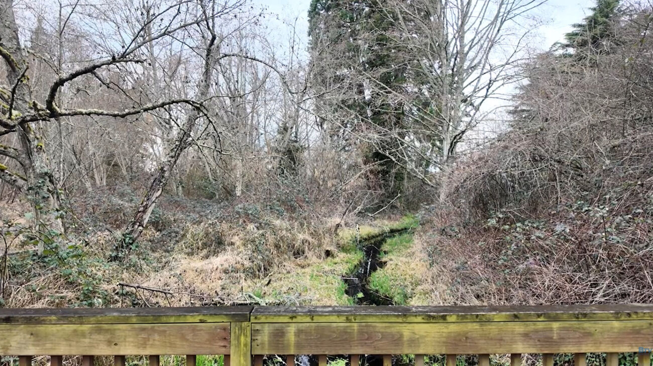 Kelsey Creek is a line of water running through forest by Lake Hills Boulevard.