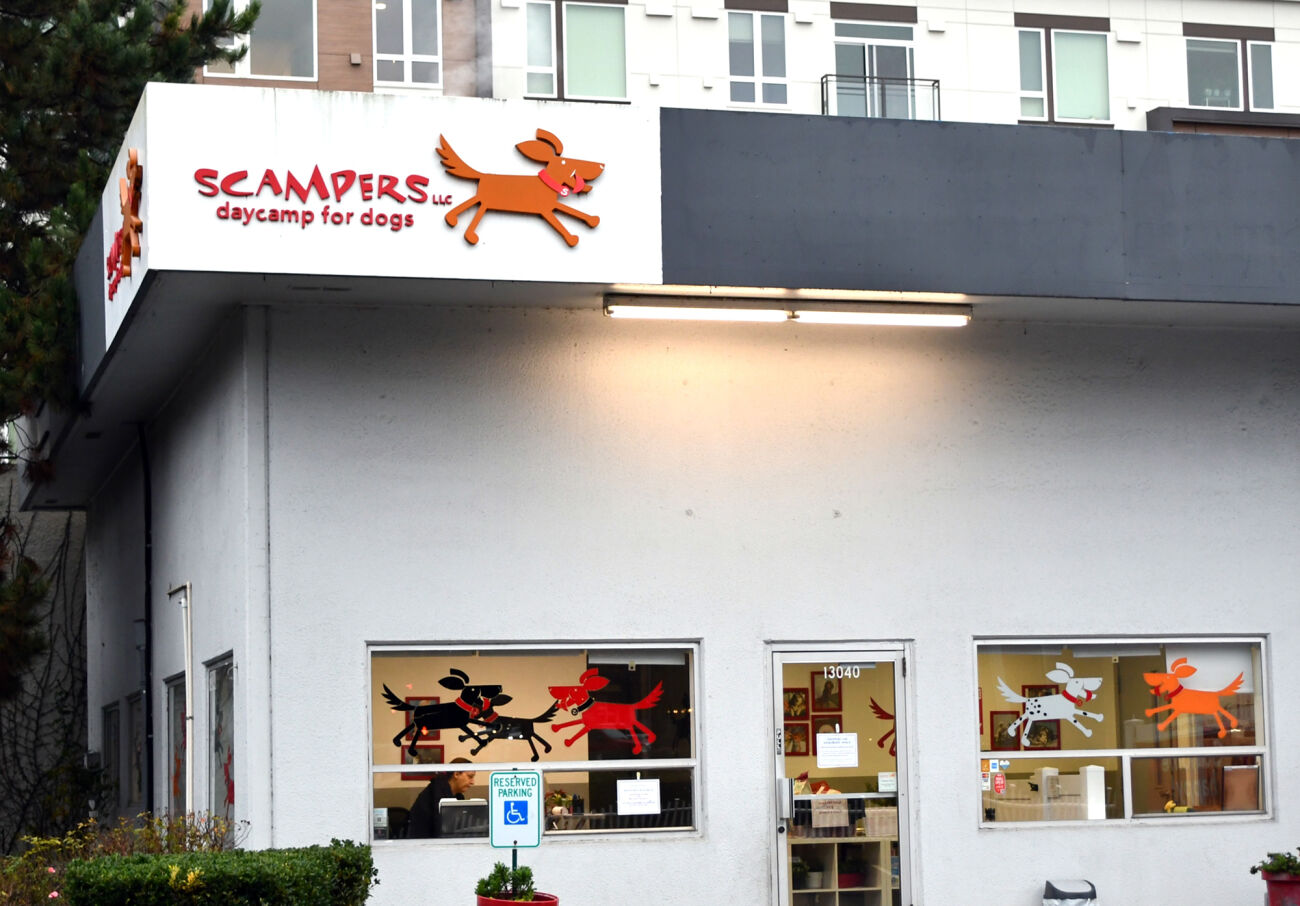 The sign for Scampers dog-sitting service is prominent on the building.