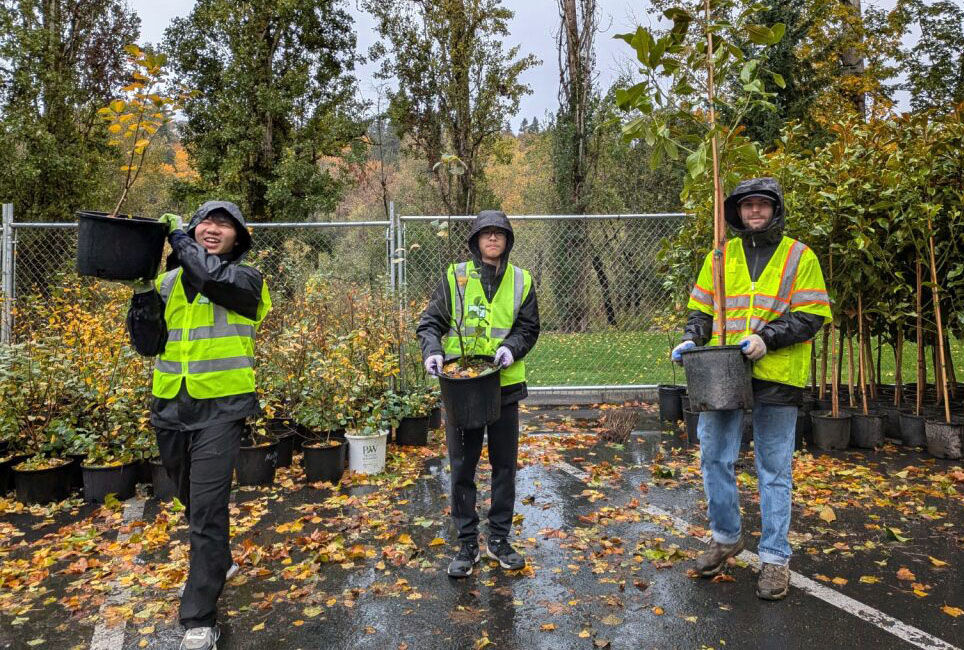 Three boys walk with saplings they received from Bellevue's tree giveaway.