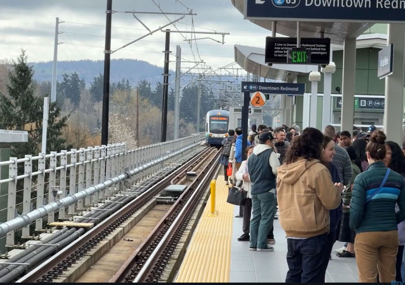 A crowd of people wait at a light rail station as a train arrives on the track.