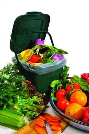 Recycle food scraps to prevent sewage backups.