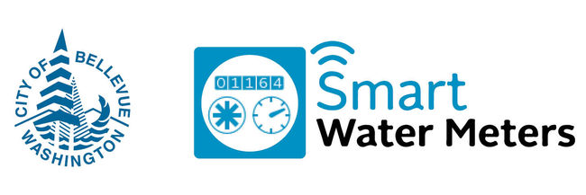 Smart Water Meter project logo