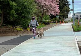 Image of pedestrian on NE 12th Street