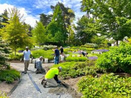 Volunteers maintain Bellevue Botanical Garden displays.