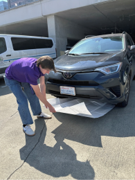 Image of person in purple shirt sliding a large piece of white paper under the front of a car to check for fluid drips or leaks.