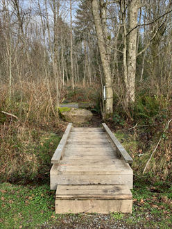 Photo of trail boardwalk bridge