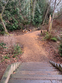 Photo of stairs and trail