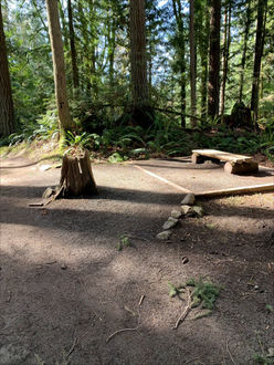 Photo of trail and bench