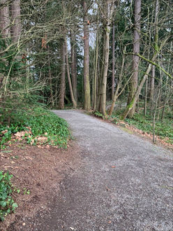 Photo of trail