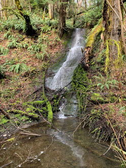 Photo of creek