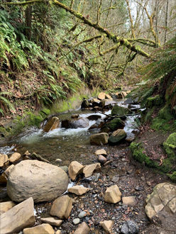 Photo of creek
