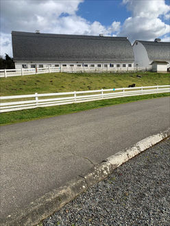 Photo of path and barns