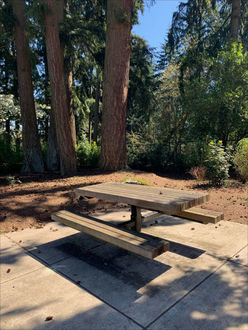 Photo of picnic table