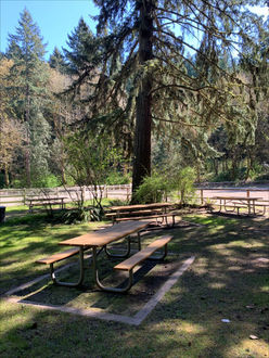 Photo of picnic tables