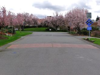 A photo of an entry road in a residential neighborhood with an entry treatment installed across the width of the road.