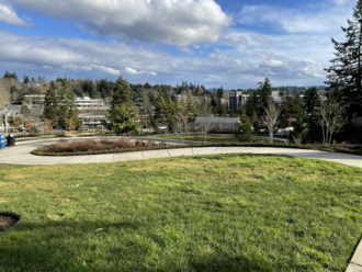 Park meadow with walking trail