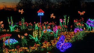 Garden d'Lights Display