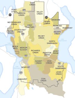 Image of the City of Bellevue storm drainage areas on a map.