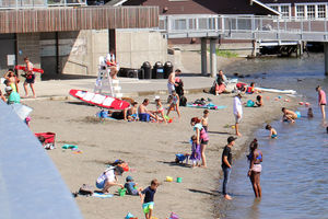 Swimmers flock to Meydenbauer Bay Park on a summer day.