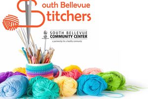 Image of colorful yarn and knitting needles. Text reads South Bellevue Stitchers